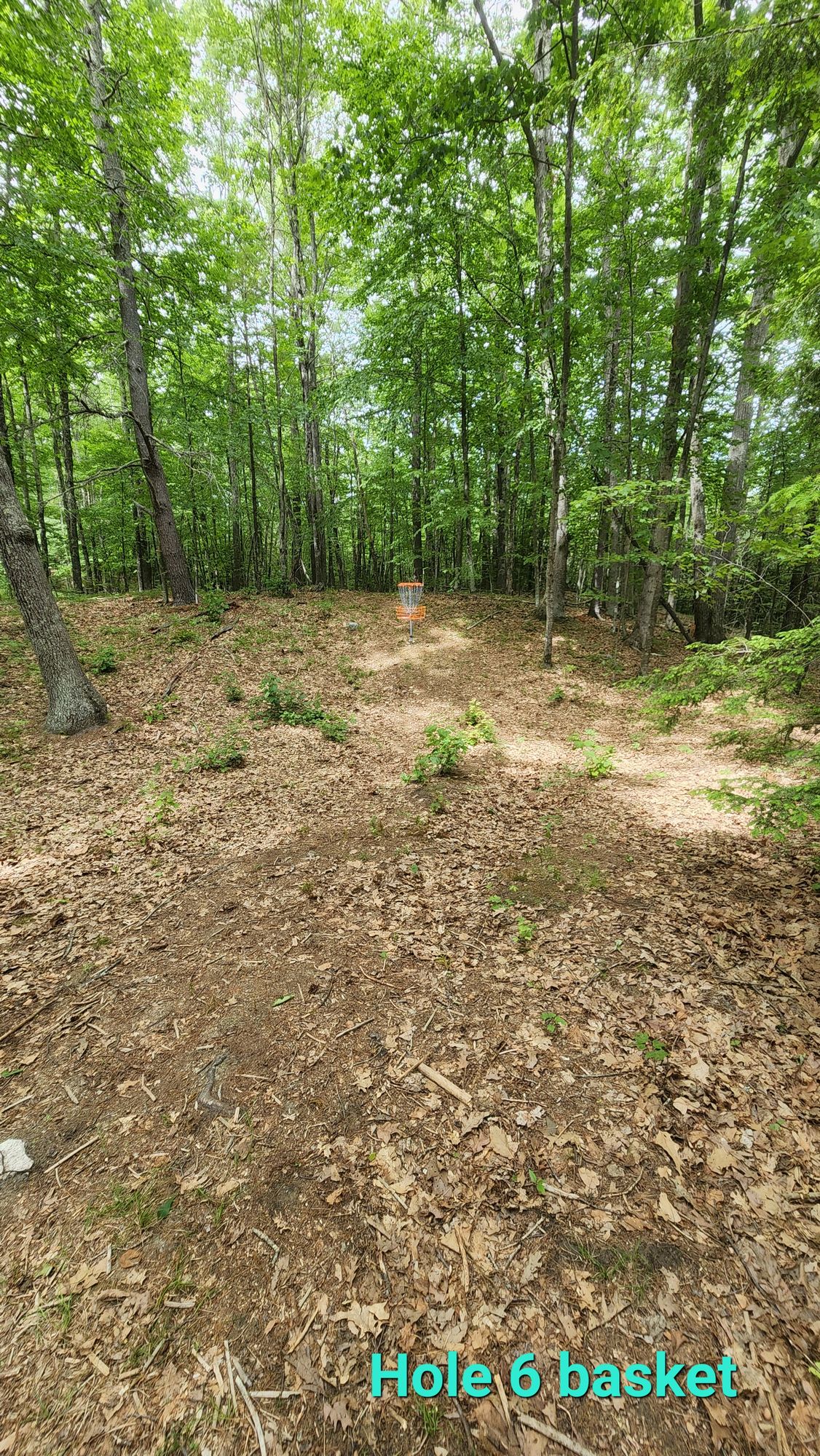 Cam Baer Memorial Disc Golf Course Raymond, NH UDisc Disc Golf