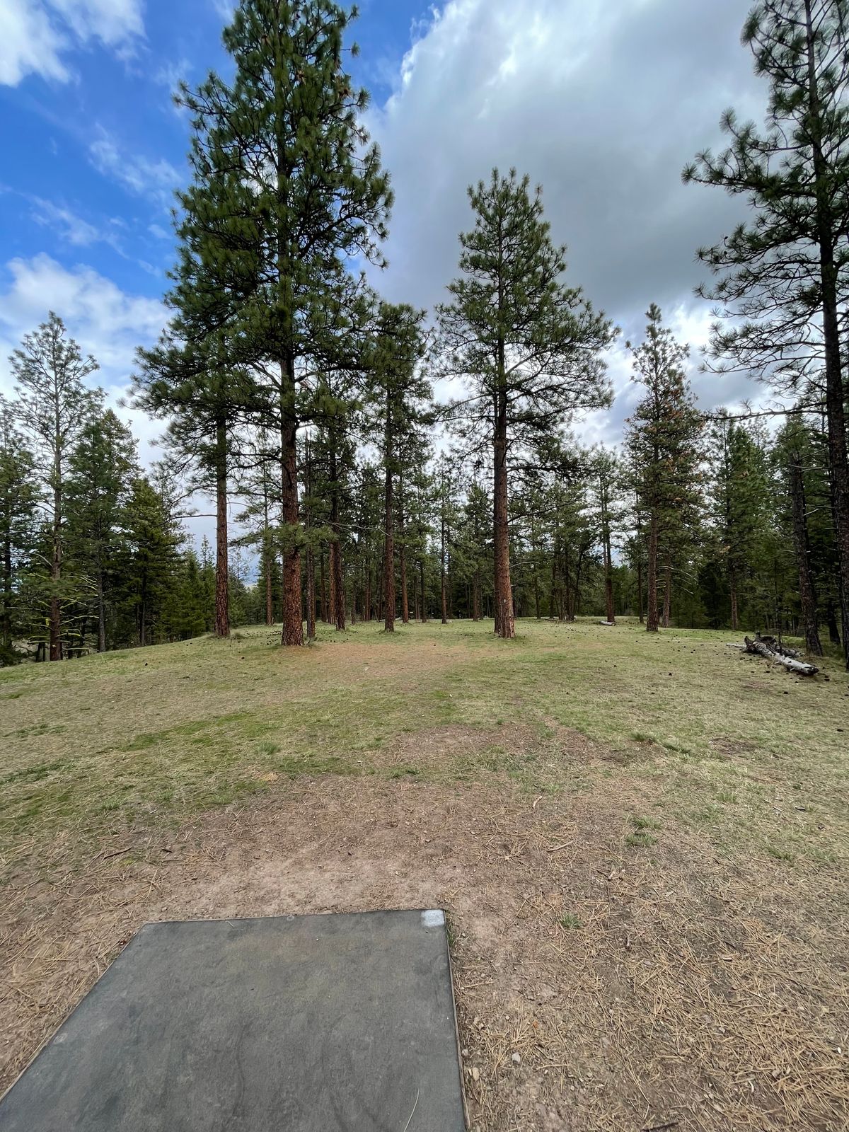 Blue Mountain Missoula, MT UDisc Disc Golf Course Directory
