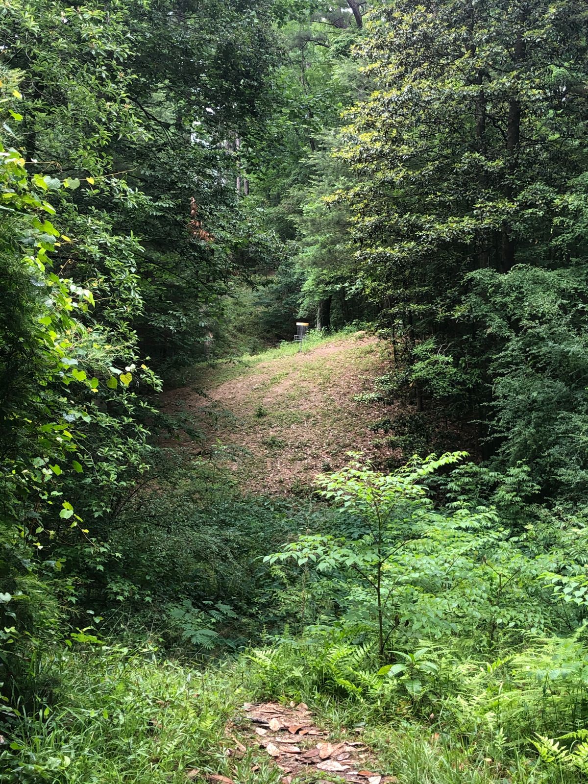 Chautauqua Park Course Photos