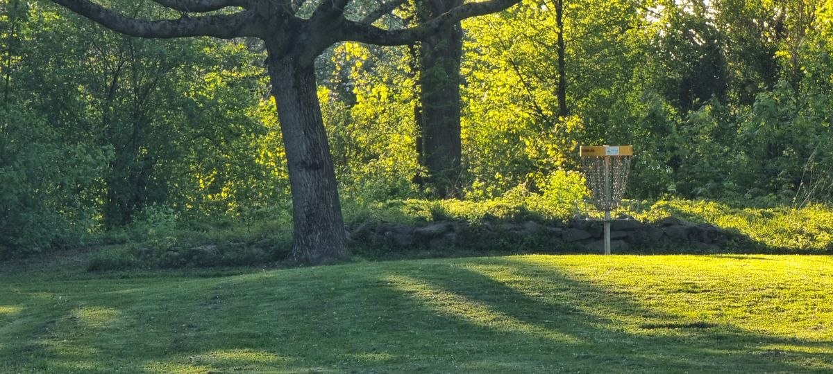 GWSBühl Bühl, Germany UDisc Disc Golf Course Directory UDisc