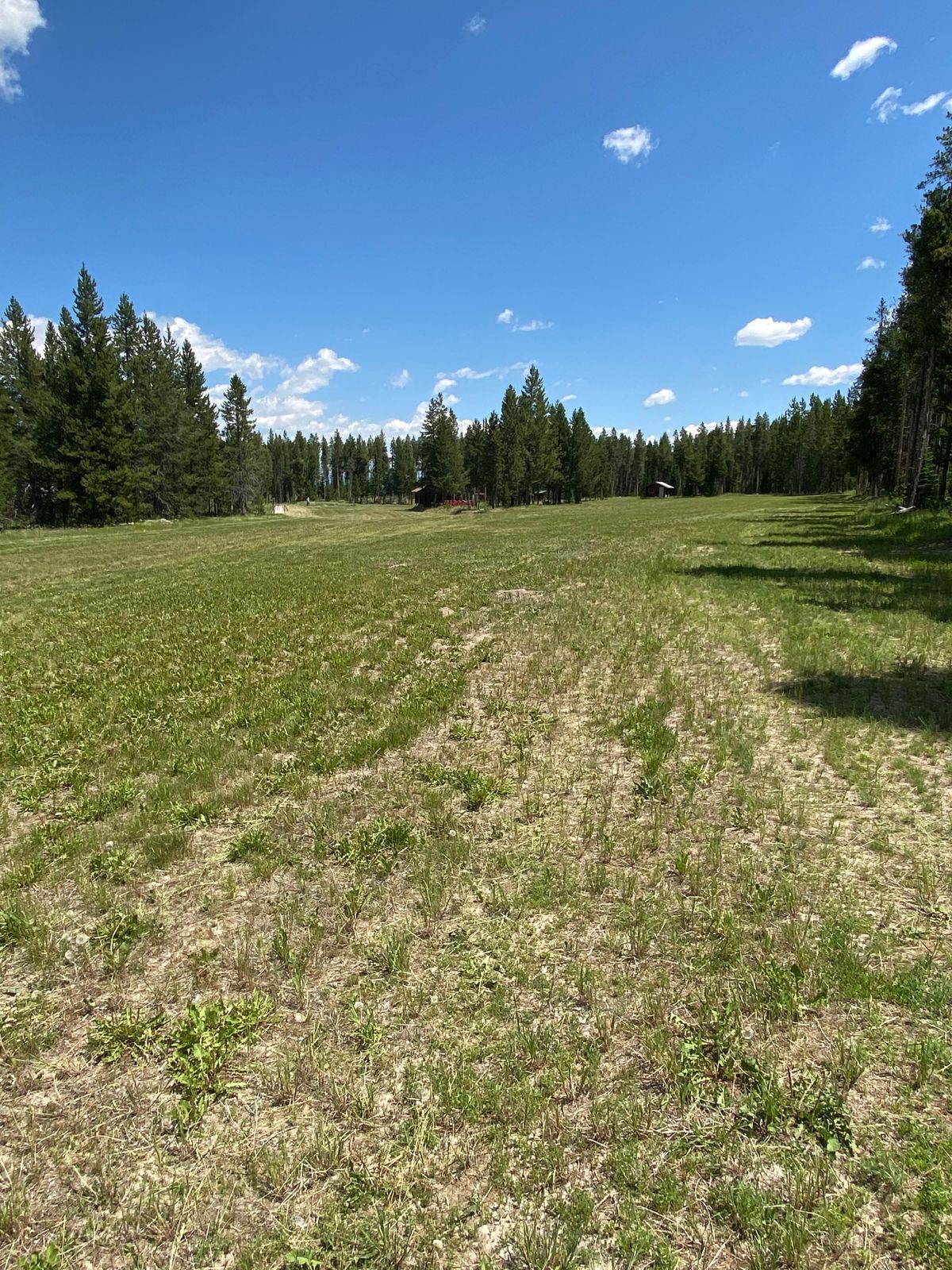 Rendezvous Disc Golf Course West Yellowstone, MT UDisc Disc Golf