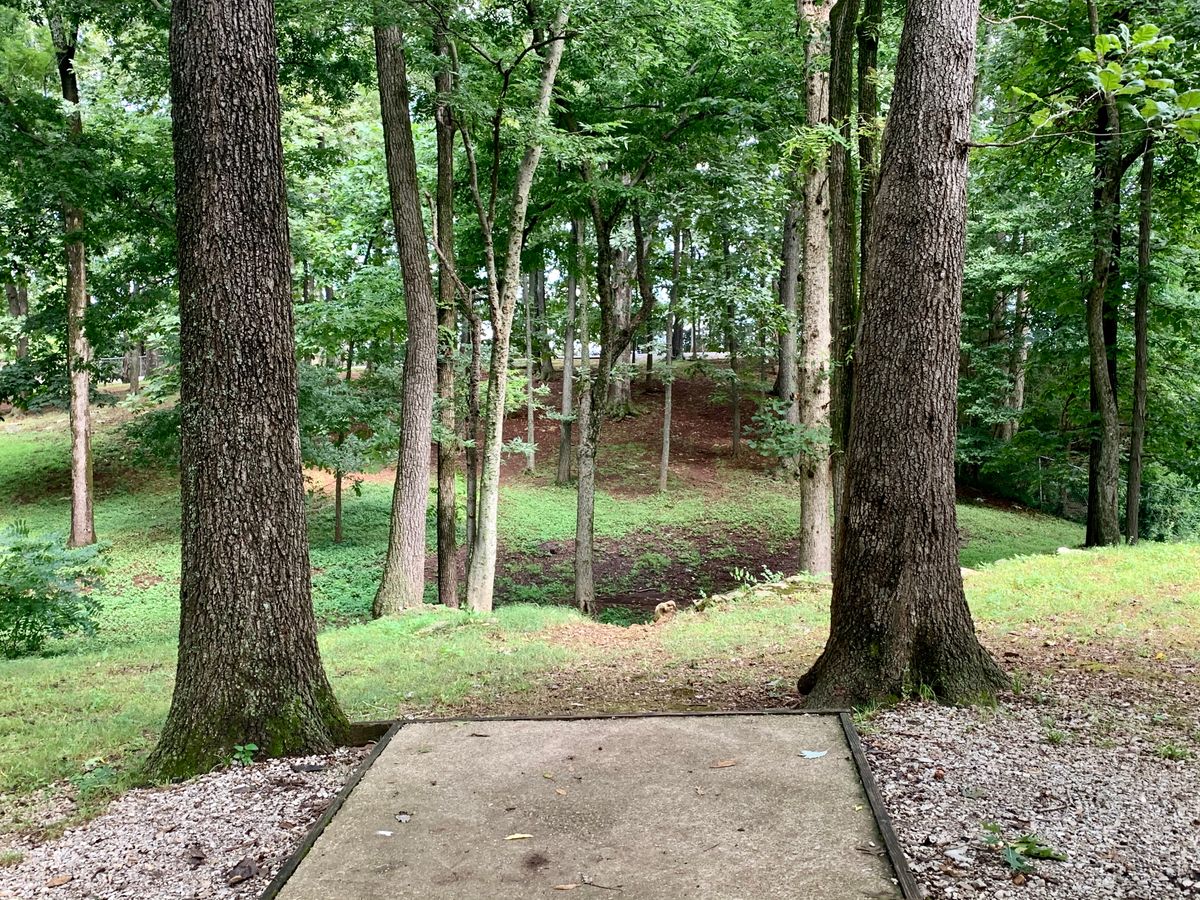 Basil Griffin Park Bowling Green, KY UDisc Disc Golf Course Directory