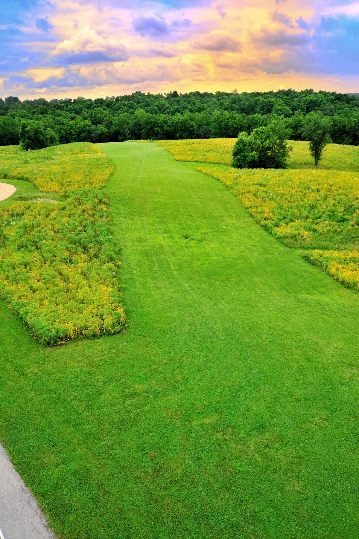 Idlewild Burlington, KY UDisc Disc Golf Course Directory