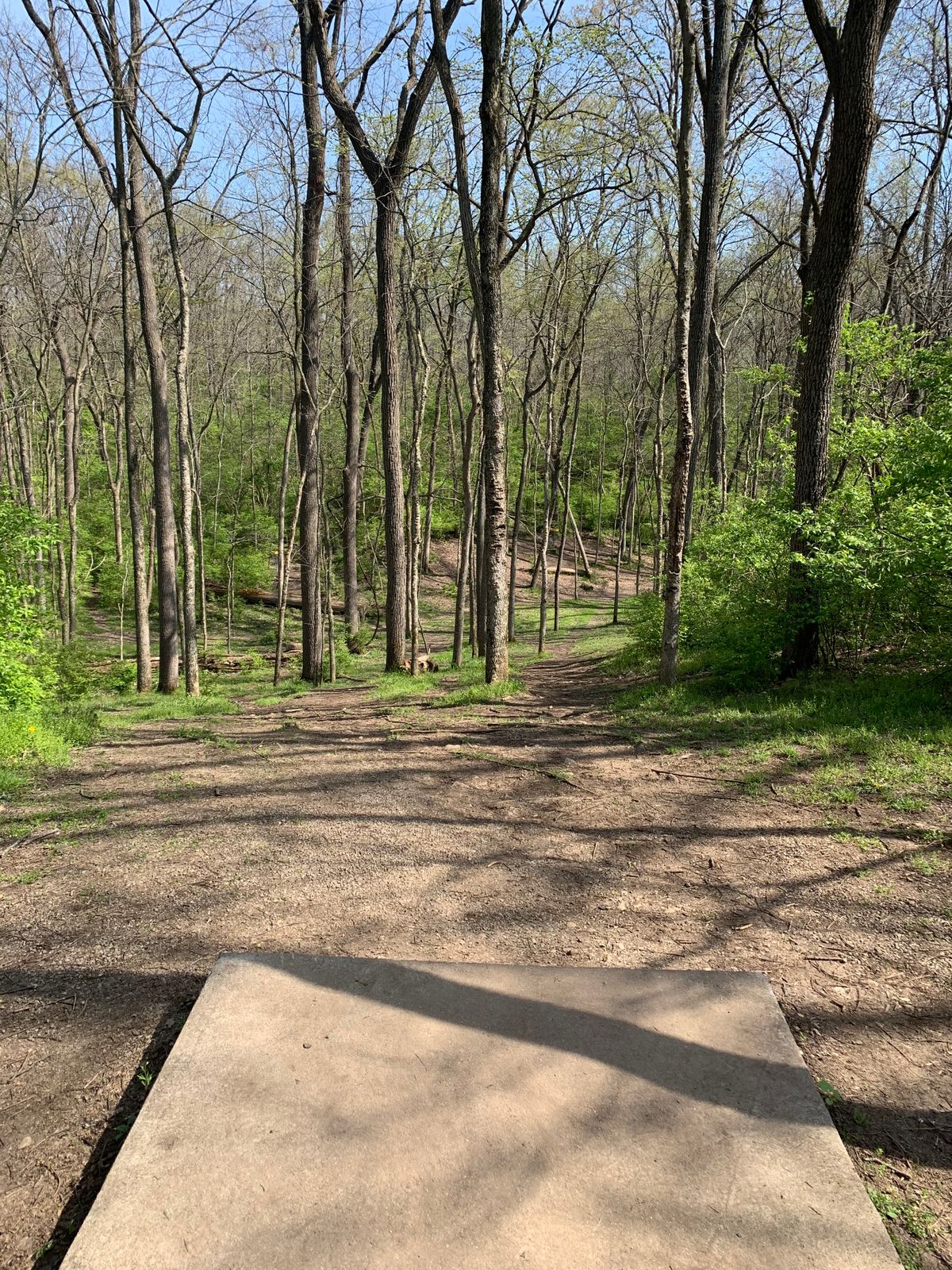 Buck Creek State Park Springfield, OH UDisc Disc Golf Course Directory