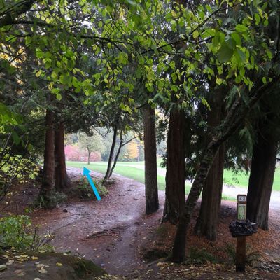 Howling Coyote Disc Golf Course