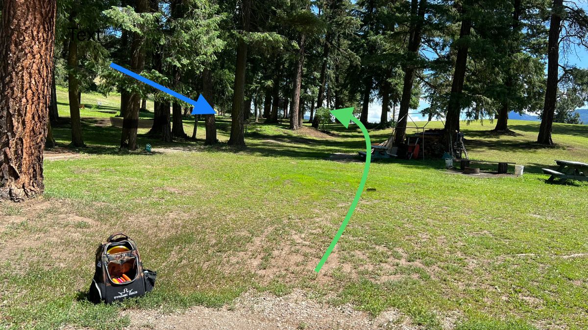 The Foggy Basket Lumby, BC, Canada UDisc Disc Golf Course Directory