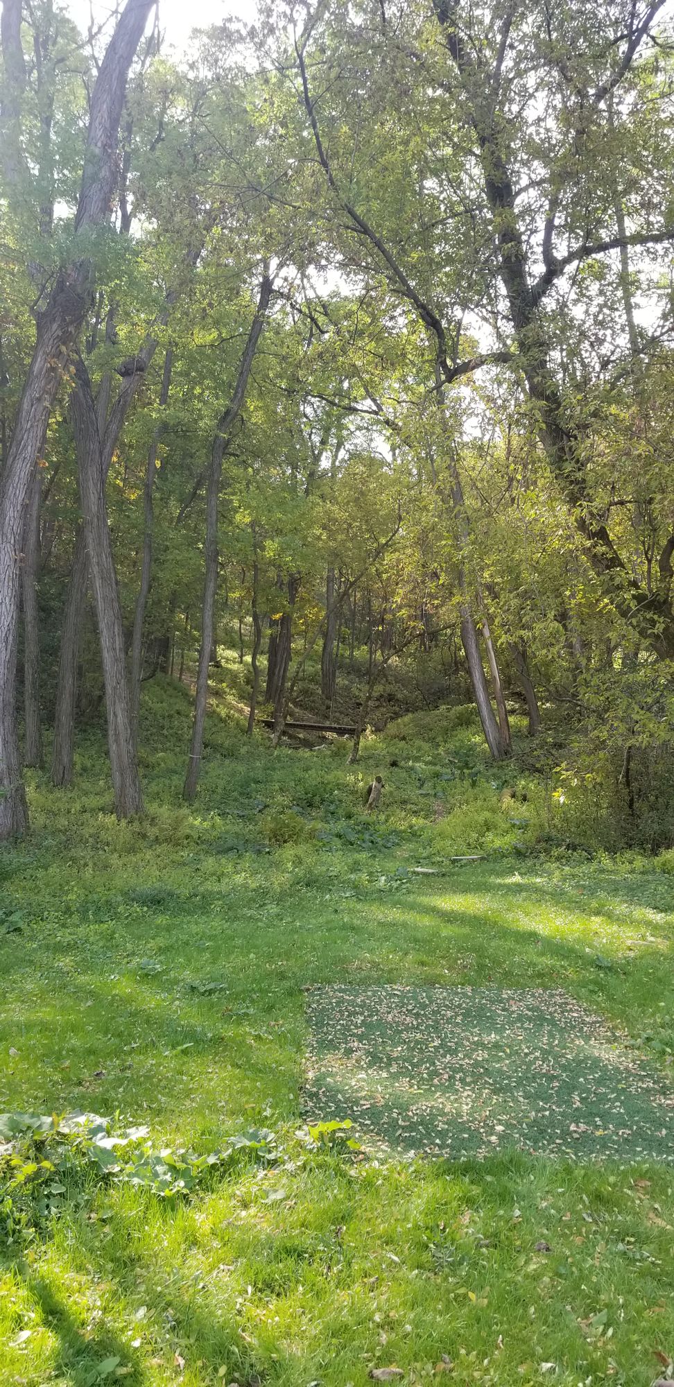 Tyrol Basin DGC Mount Horeb, WI UDisc Disc Golf Course Directory