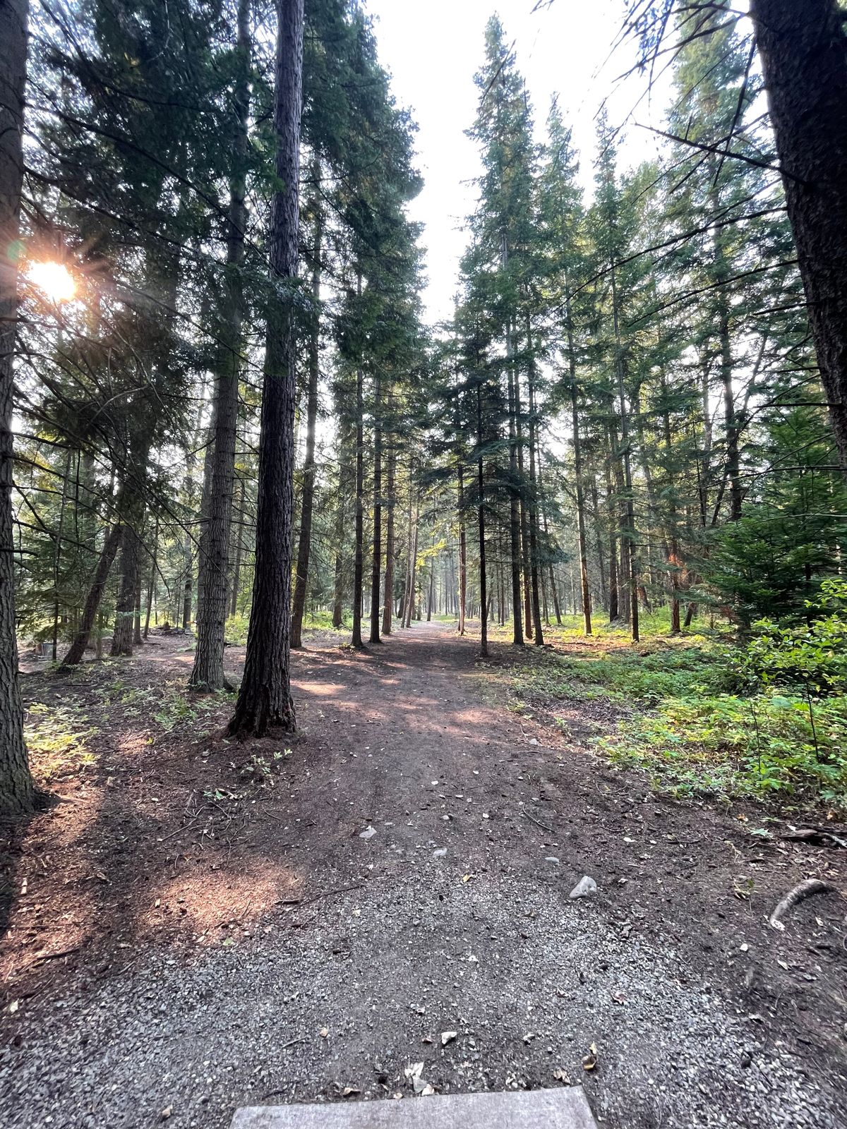 Timber Beast Troy, MT UDisc Disc Golf Course Directory