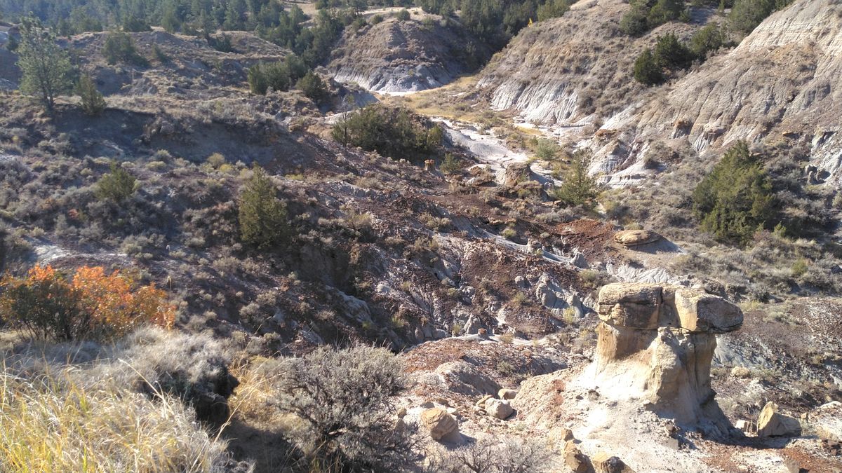 Makoshika State Park Ponderosa Pines Glendive, MT UDisc Disc Golf