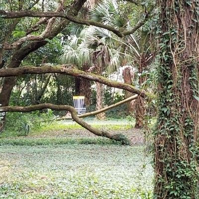 The Green Gauntlet DGC @ Palmetto Pt Prk - Eustis, Florida | UDisc