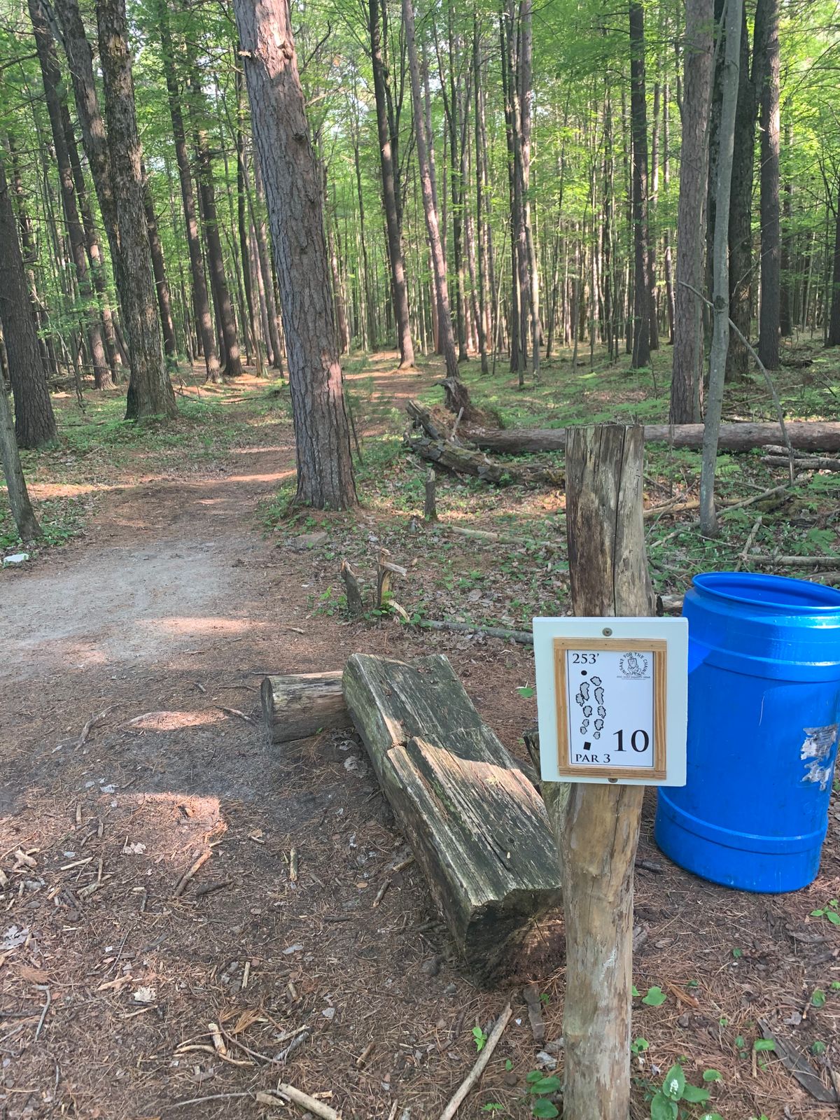 Old Airport Disc Golf Au Gres, MI UDisc Disc Golf Course Directory