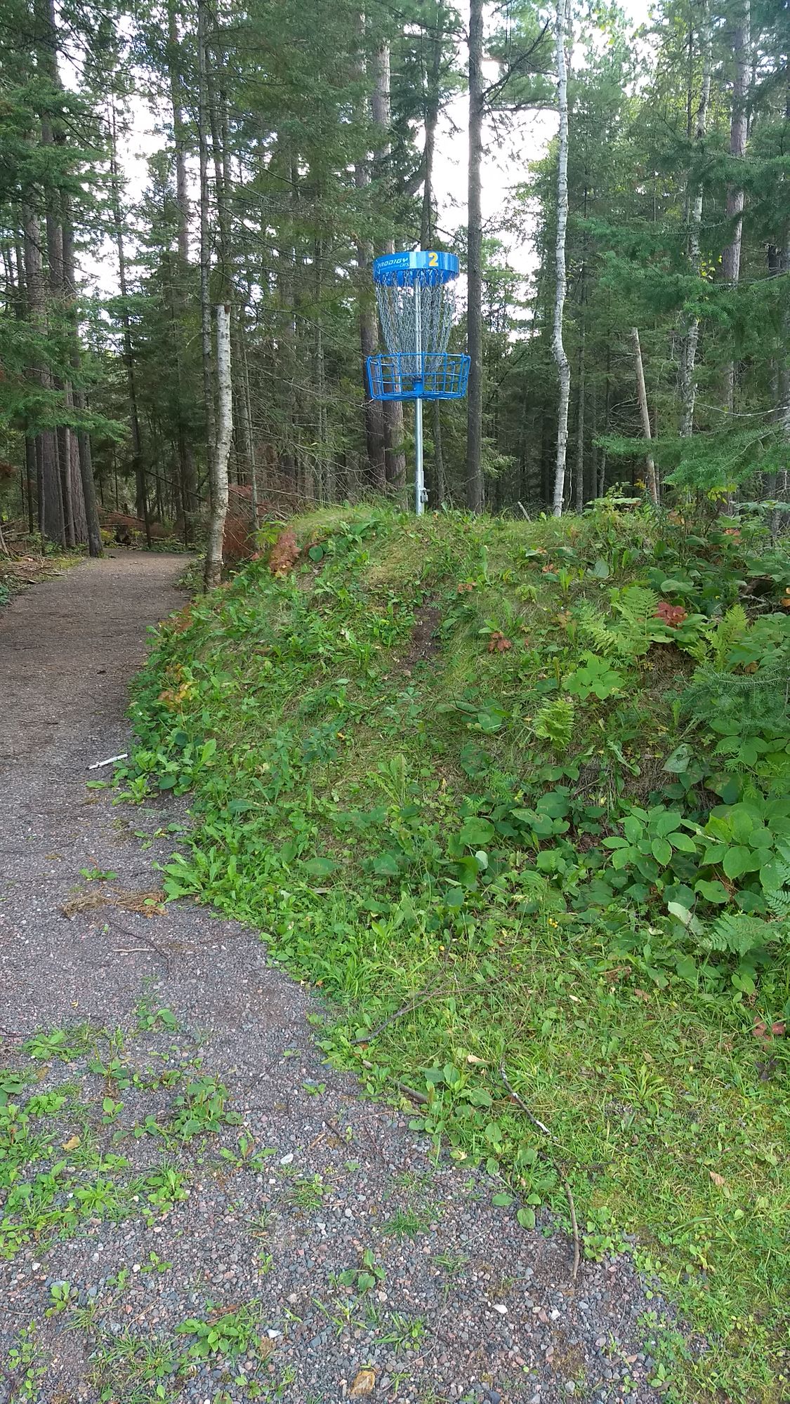 Gnesen Community Center Duluth, MN UDisc Disc Golf Course Directory