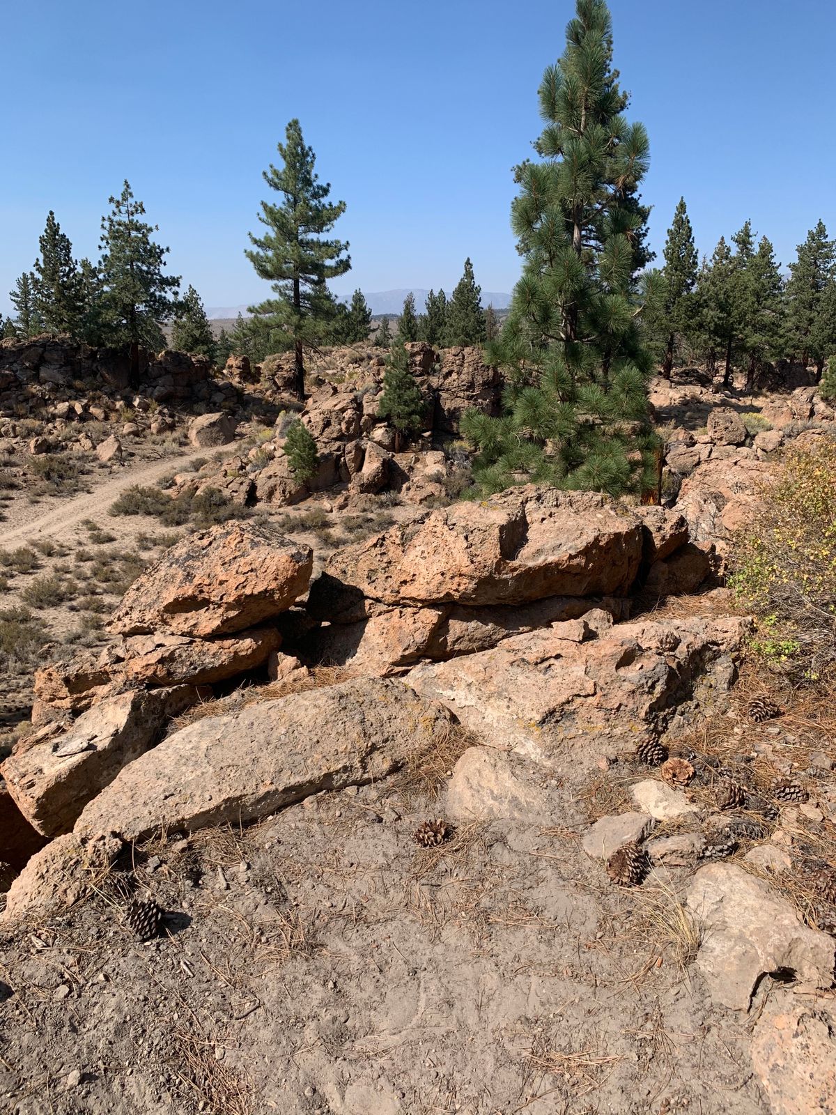 Sunny Slopes Mammoth Lakes, CA UDisc Disc Golf Course Directory