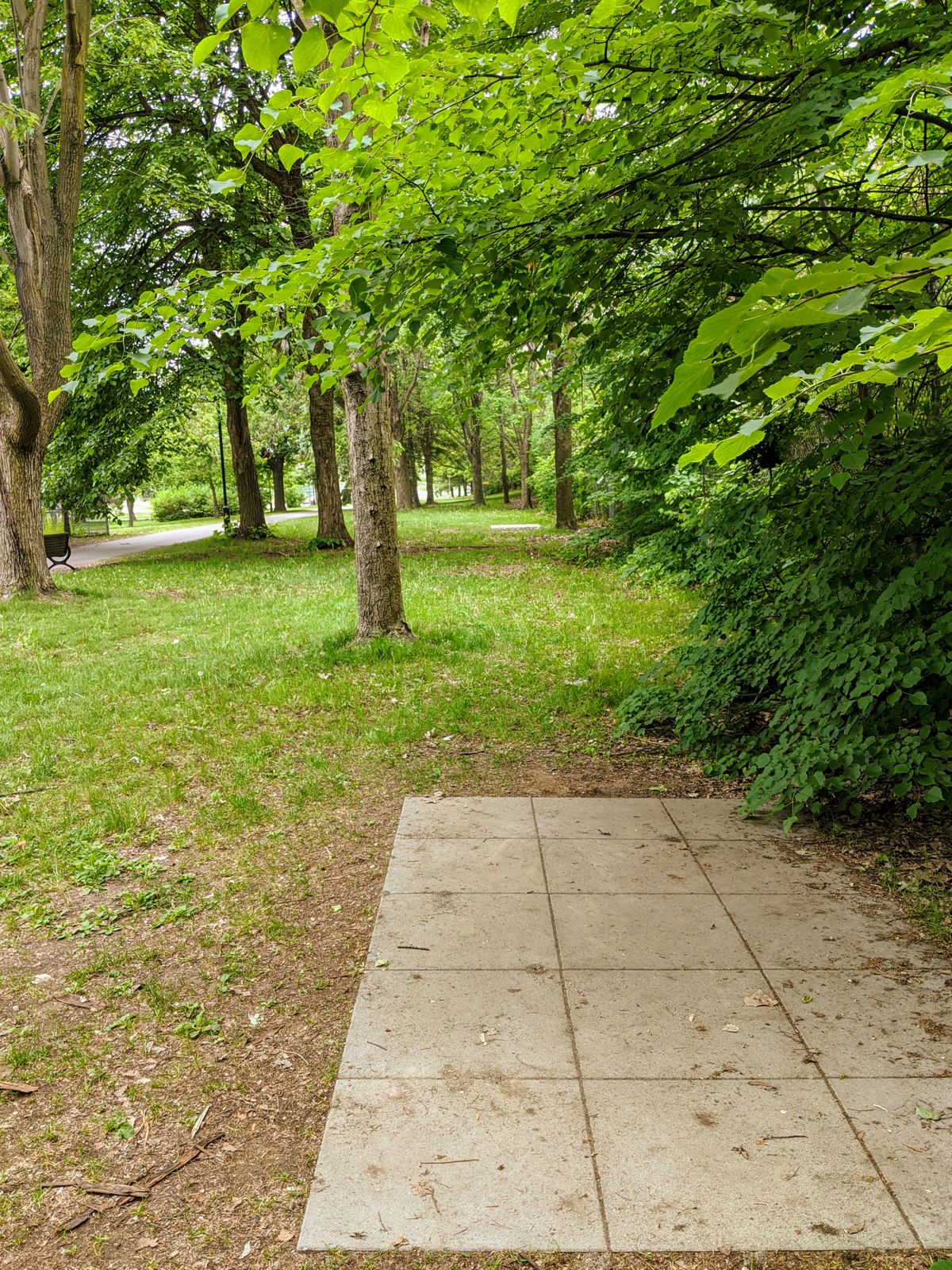 Parc IgnaceBourget Montréal, QC, Canada UDisc Disc Golf Course Directory