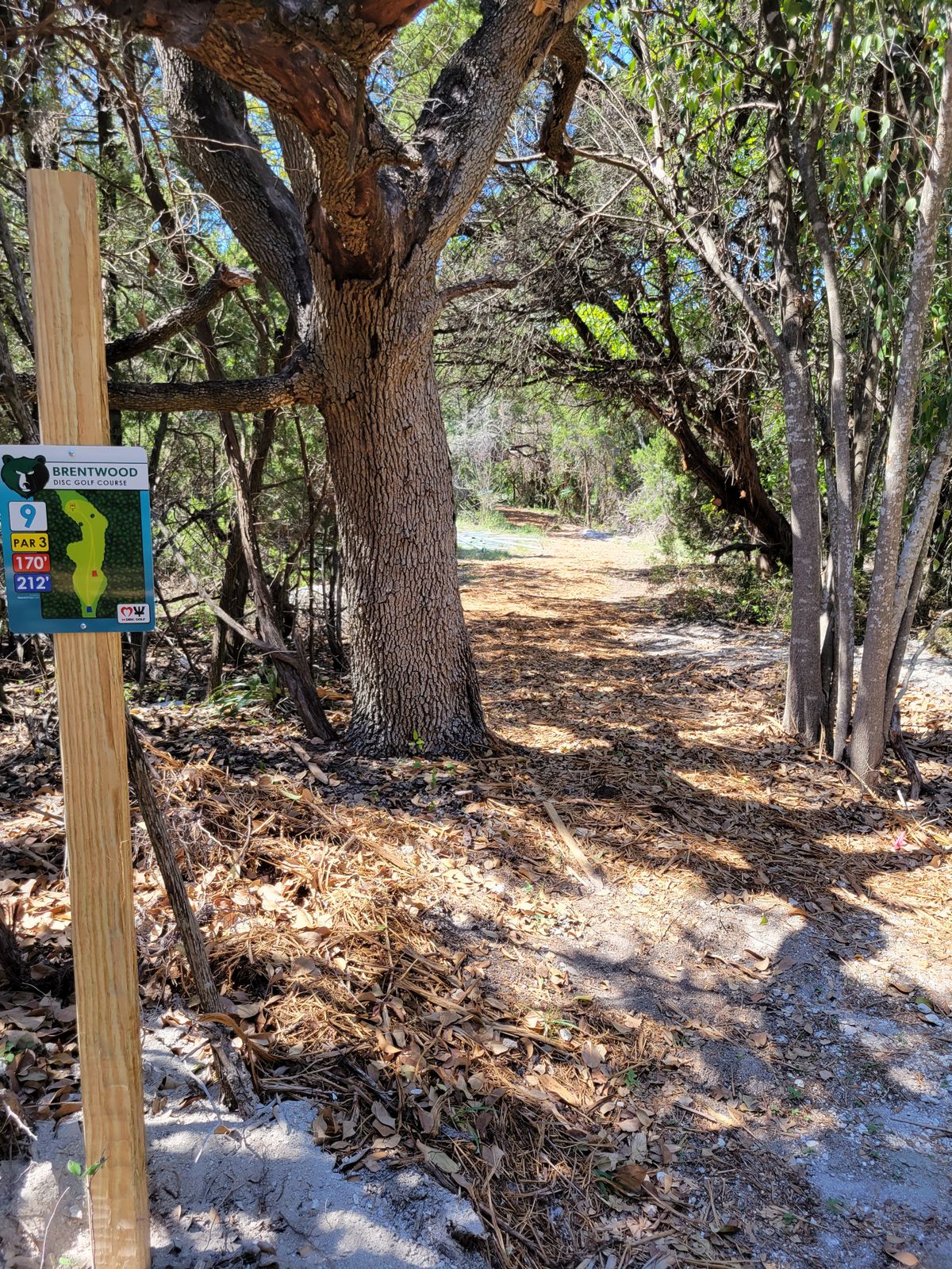 Brentwood Disc Golf Course Austin, TX UDisc Disc Golf Course Directory