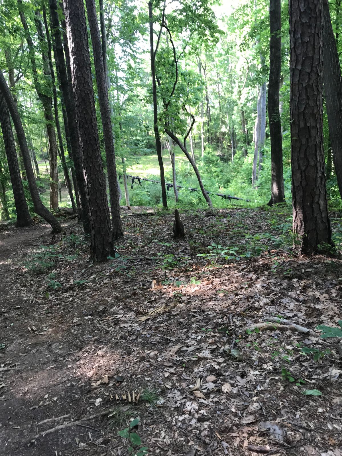 Cornelius Road Park Mooresville, NC UDisc Disc Golf Course Directory