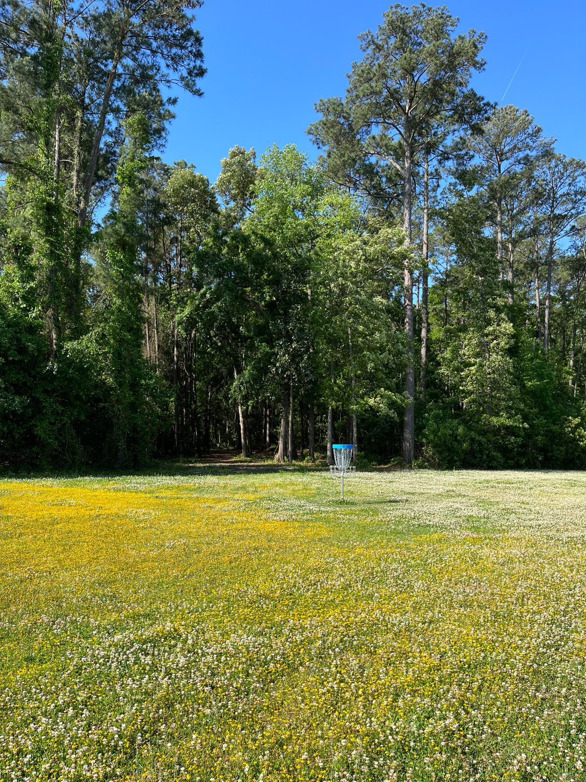 Savannah Disc Golf Your Guide to Disc Golf in Savannah, UDisc