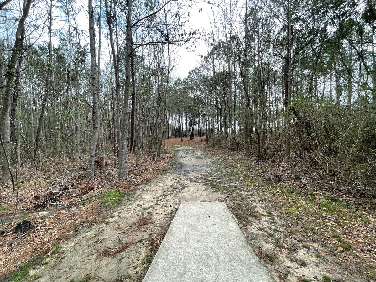 Graham Creek The Preserve Gulf Shores, AL UDisc Disc Golf Course