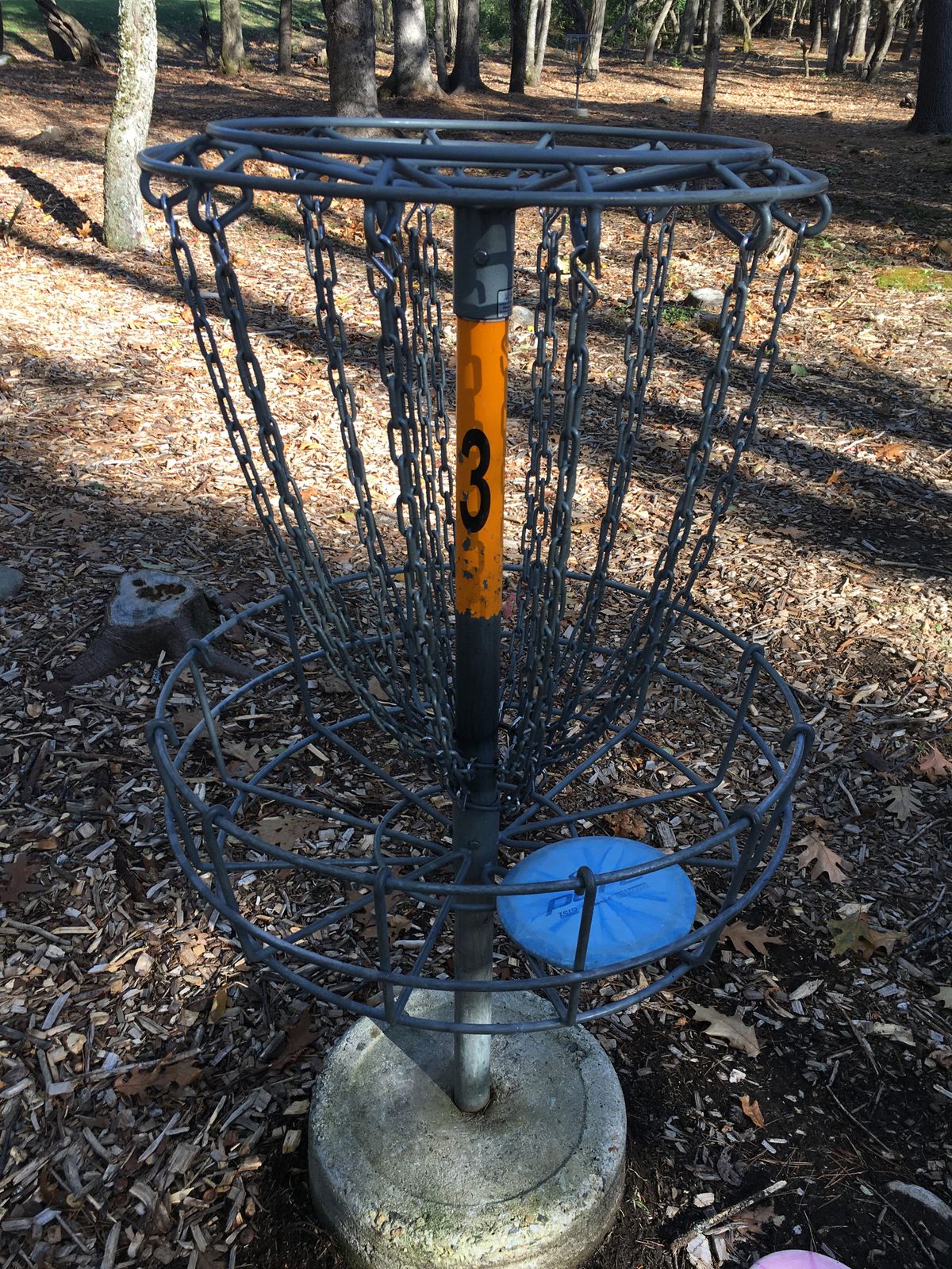 D.R. Disc golf The Bear Orono, ME UDisc Disc Golf Course
