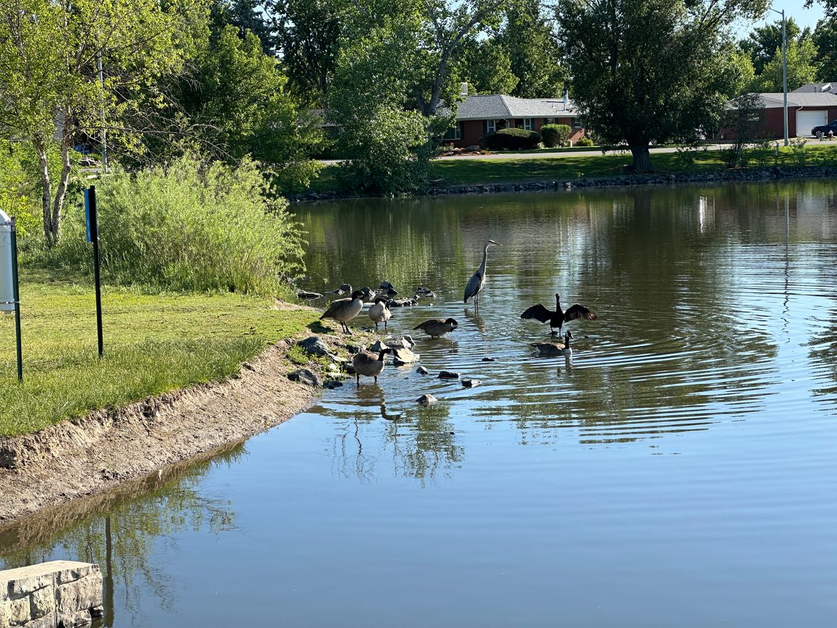 Loomiller Park Longmont, CO UDisc Disc Golf Course Directory
