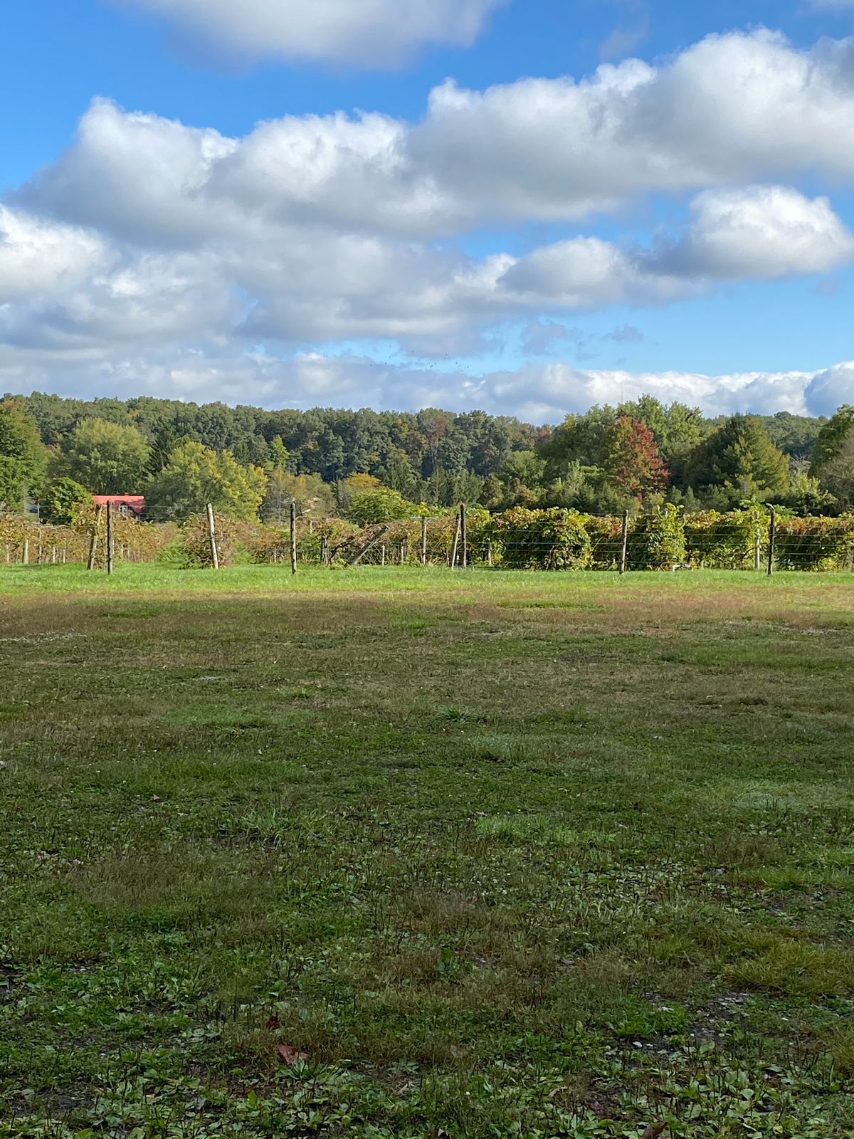 Crab Orchard Disc Golf Your Guide to Disc Golf in Crab Orchard, West