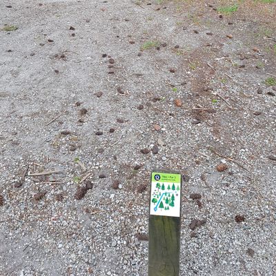 Hole 12