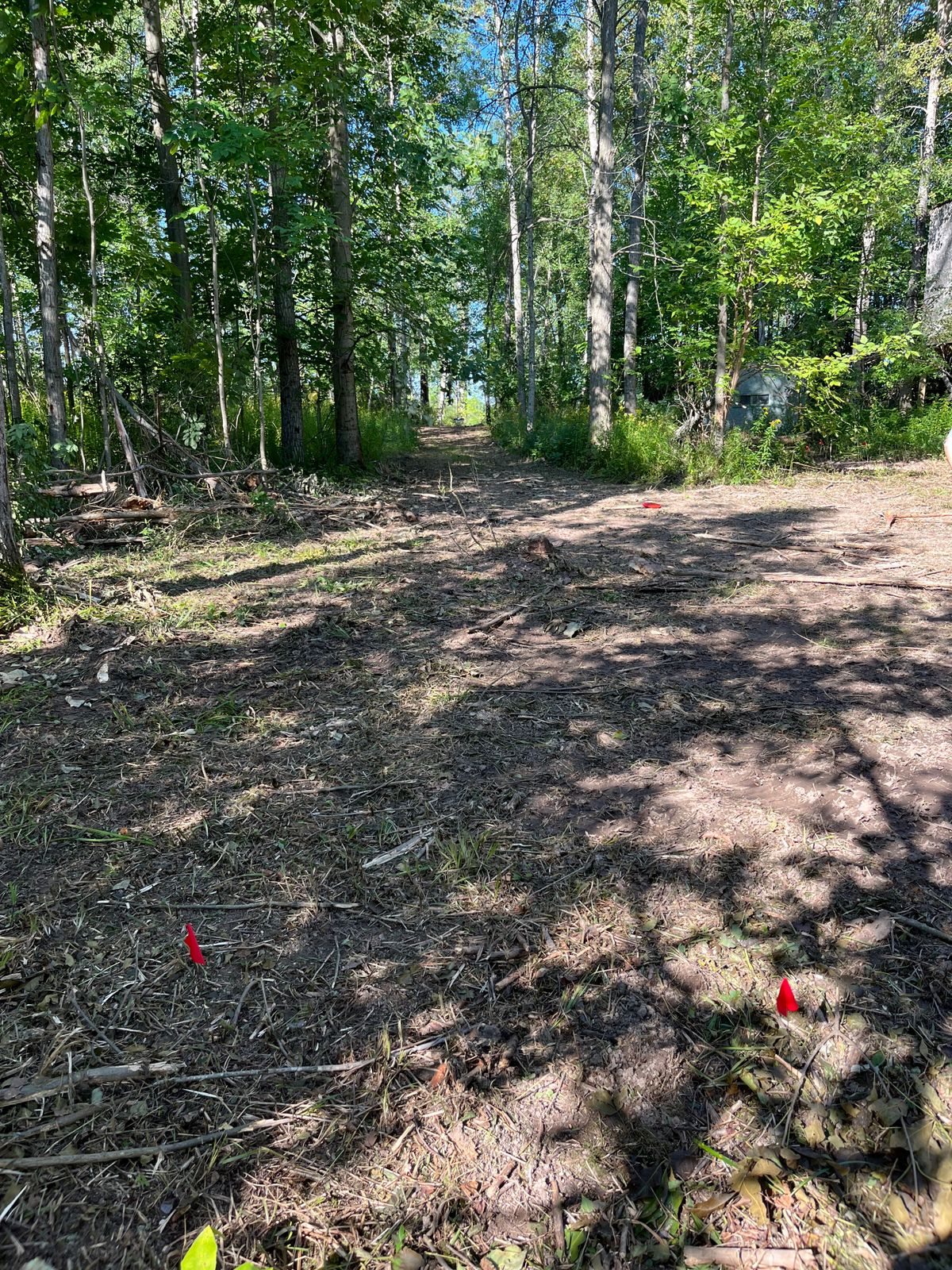 Black Lab Lodge DGC Harrisville, MI UDisc Disc Golf Course