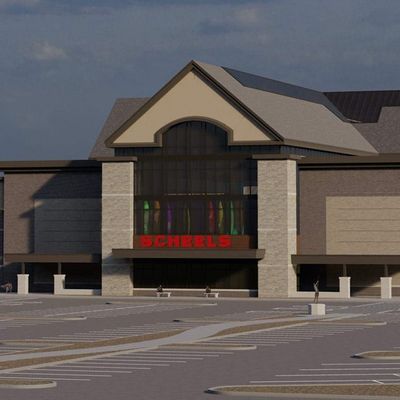 Scheels