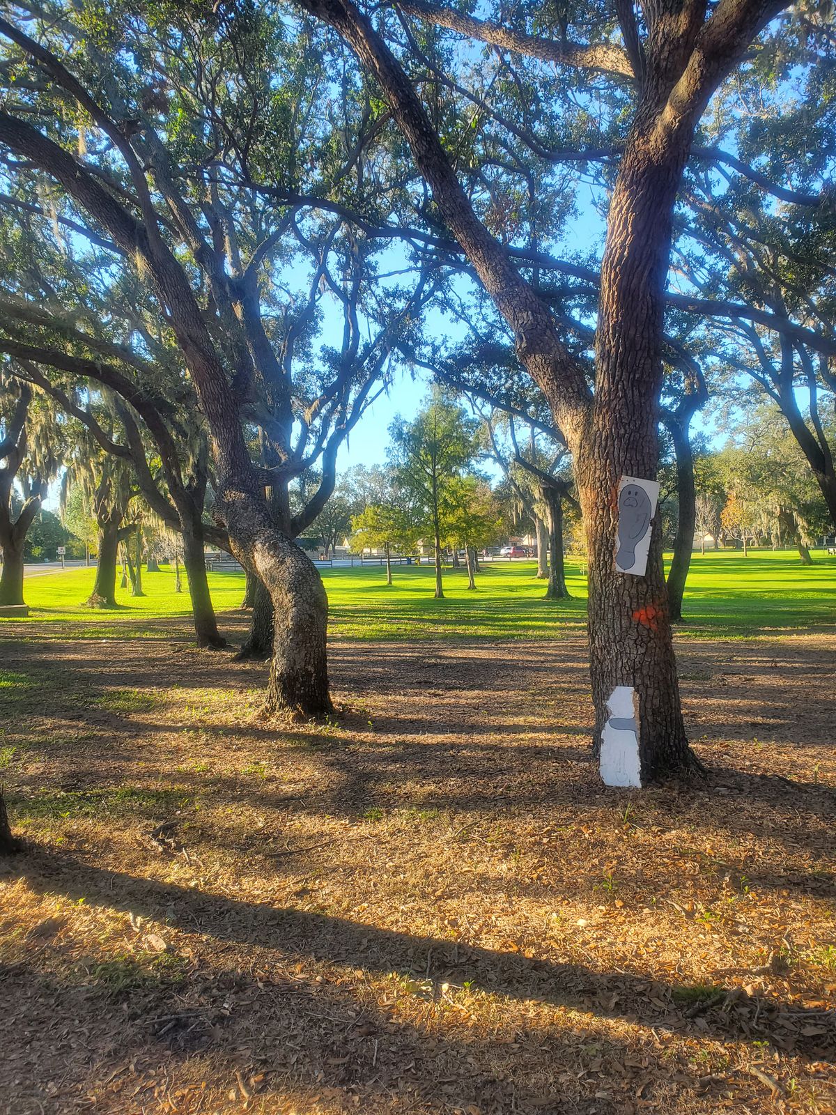 G. T. Bray Park Bradenton, FL UDisc Disc Golf Course Directory UDisc