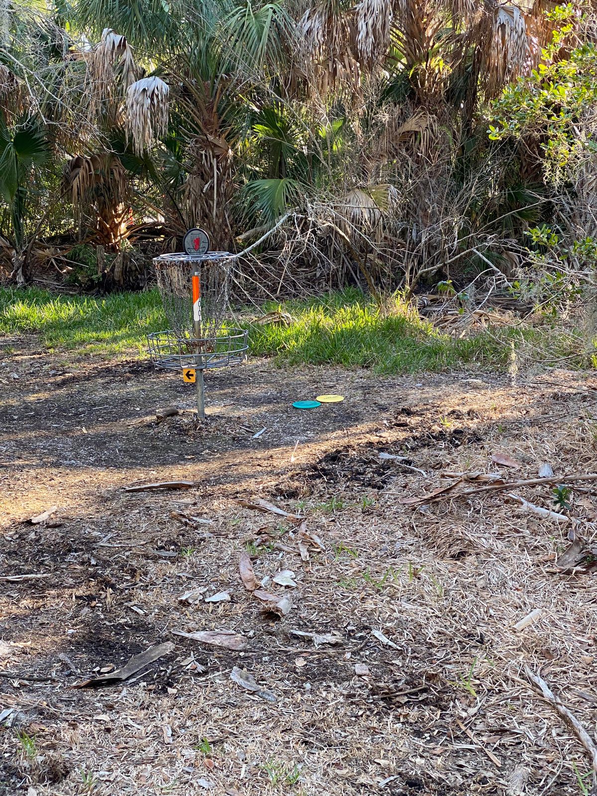 Hammock Park Dunedin, FL UDisc Disc Golf Course Directory