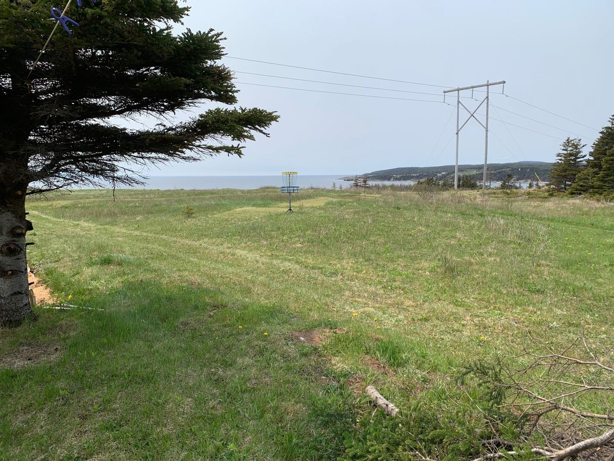 Dave’s place Part Deux Port au Port East, NL, Canada UDisc Disc