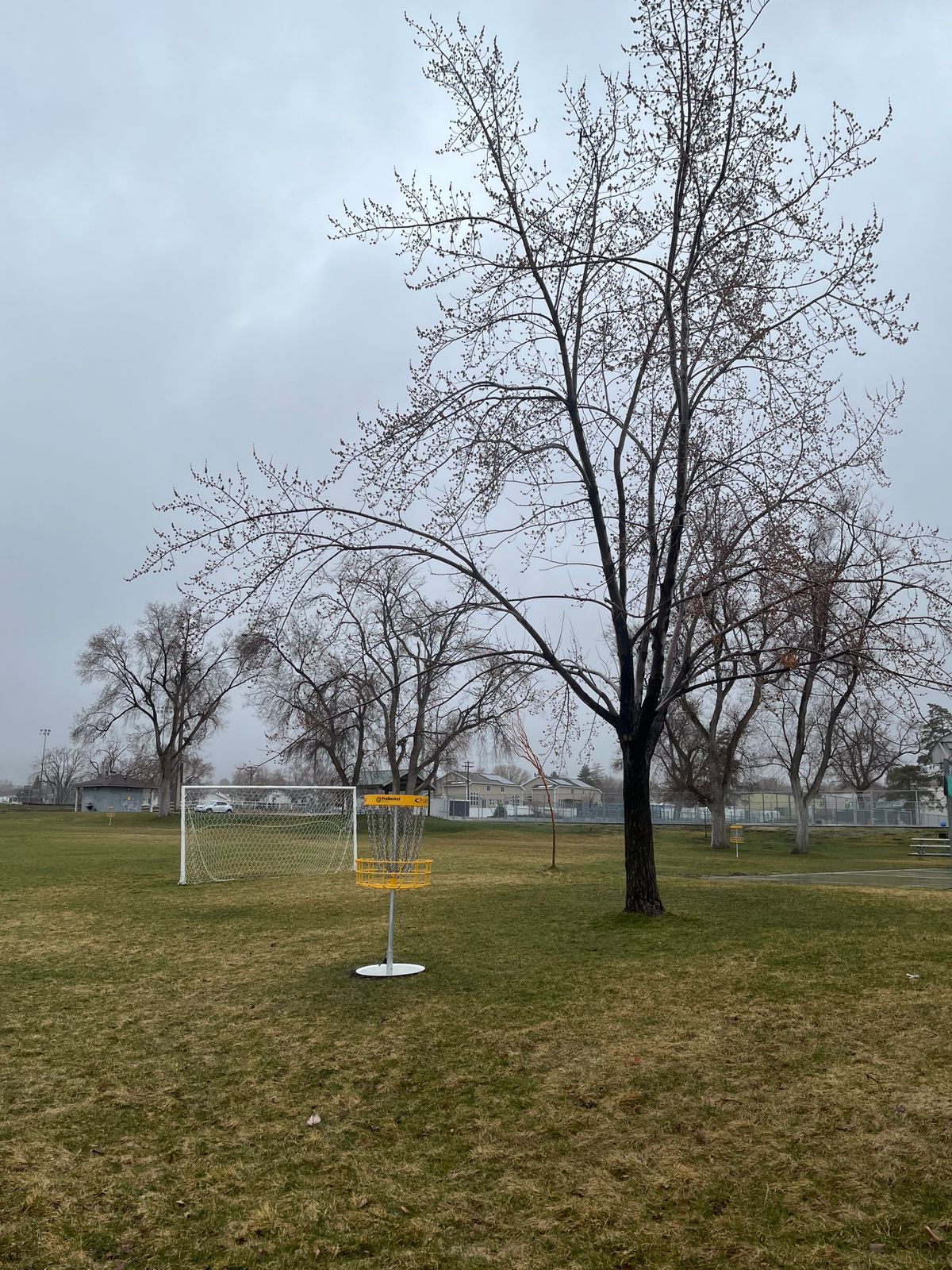 Elton Foot and Disc Golf Course Tooele, UT UDisc Disc Golf Course