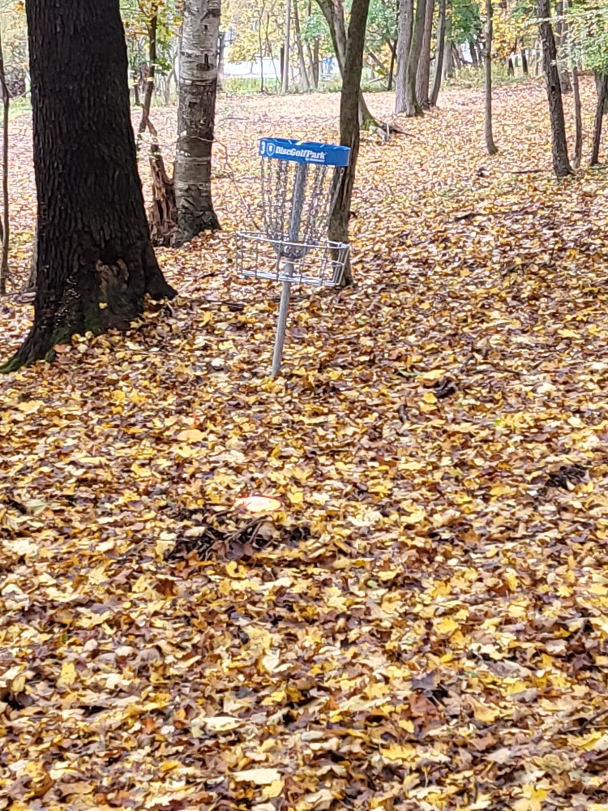 DiscGolfPark of Utica Utica, NY UDisc Disc Golf Course Directory