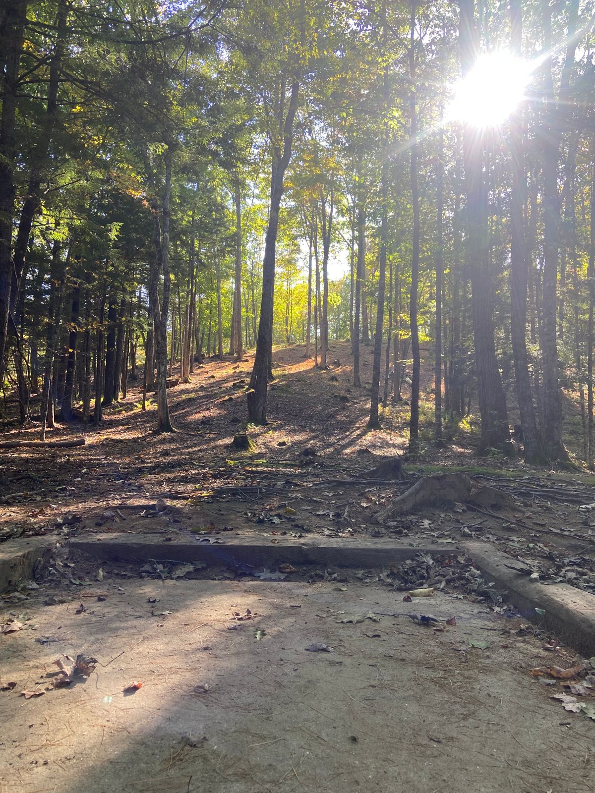 Bittersweet Ridge North Course North Yarmouth, ME UDisc Disc Golf