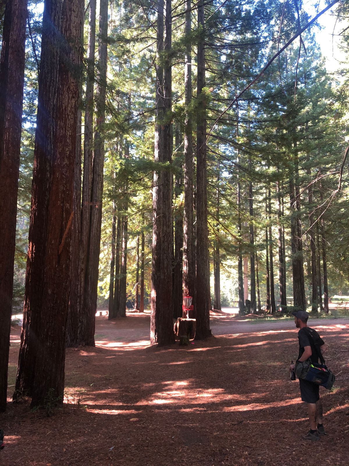 Brooktrails Willits, CA UDisc Disc Golf Course Directory