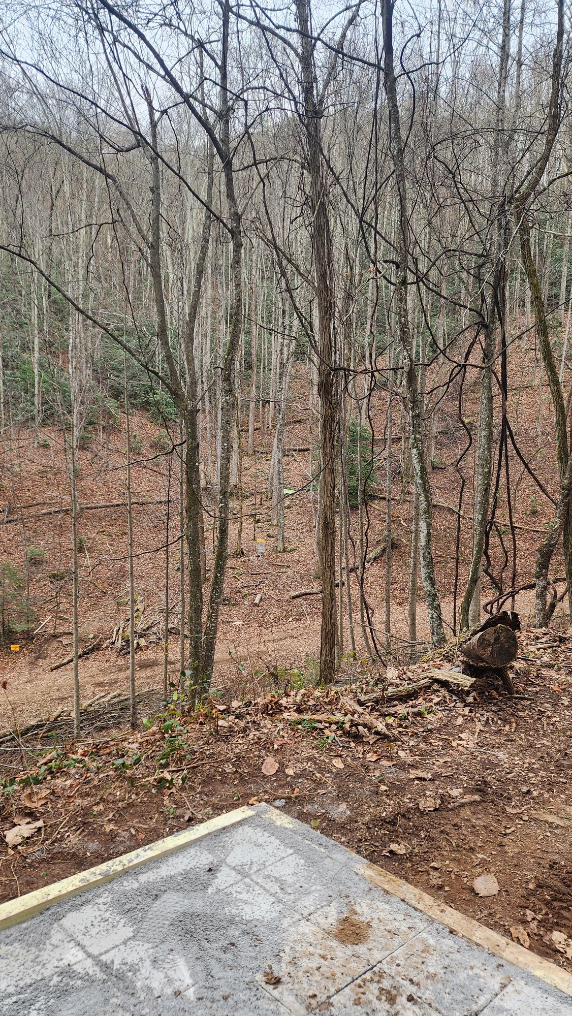 Mountain Manor Disc Golf Course Pigeon TN UDisc Disc Golf