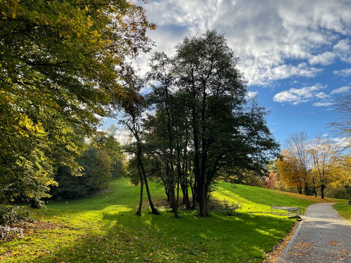 Dortmund, Revierpark Wischlingen Dortmund, Germany UDisc Disc Golf Course Directory UDisc