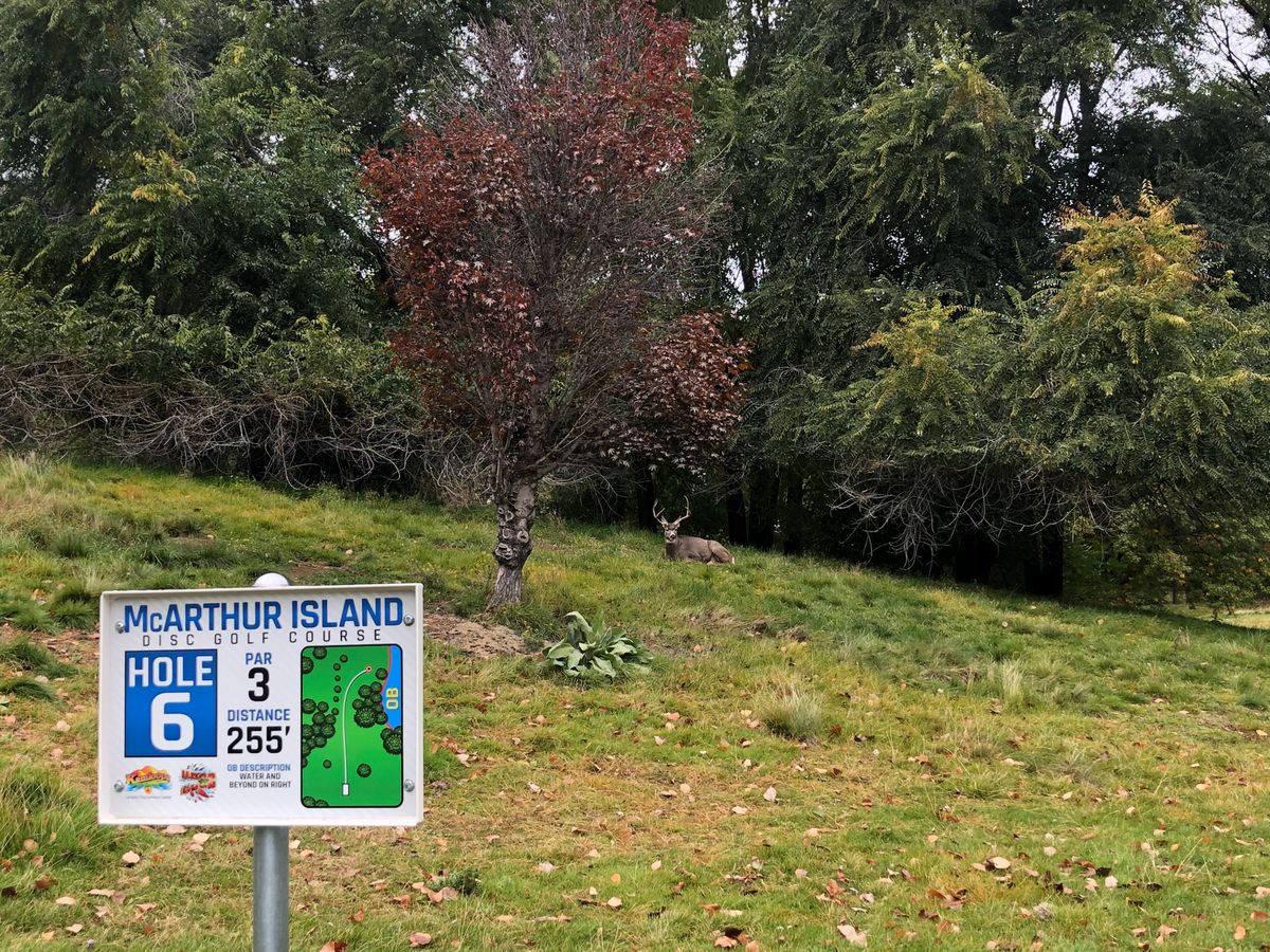 McArthur Island Kamloops, BC, Canada UDisc Disc Golf Course Directory