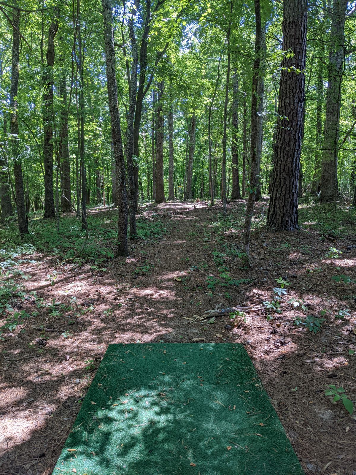 Pluck Farm/Steel String Brewery Mebane, NC UDisc Disc Golf Course