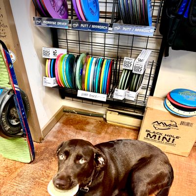 Billy Chains Disc Golf