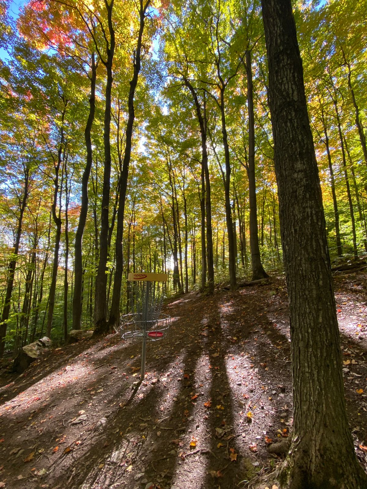 CVU High School Hinesburg, VT UDisc Disc Golf Course Directory
