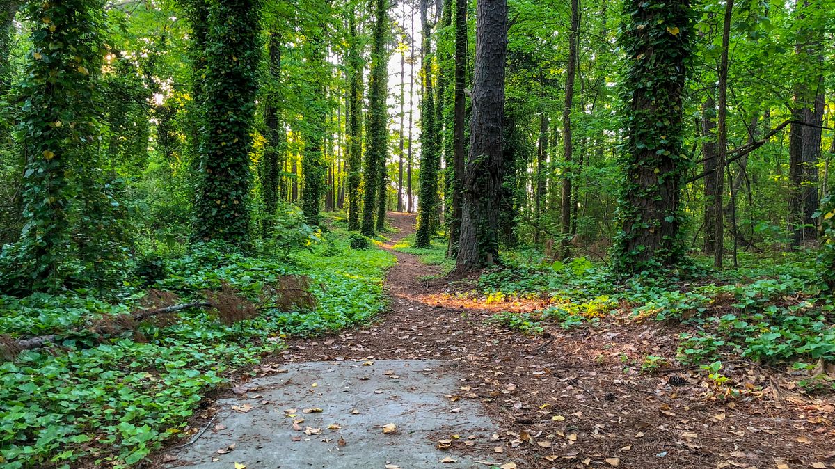 Deer Lick Park Douglasville, GA UDisc Disc Golf Course Directory