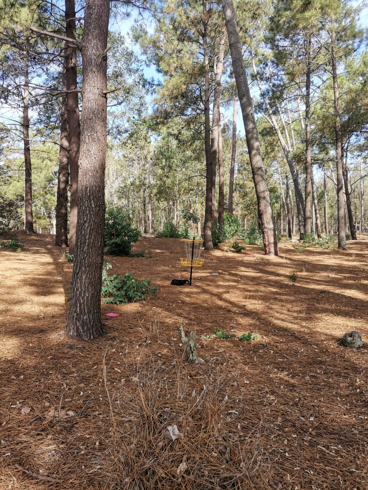 Parque Roosevelt Ciudad de la Costa, Uruguay UDisc Disc Golf Course