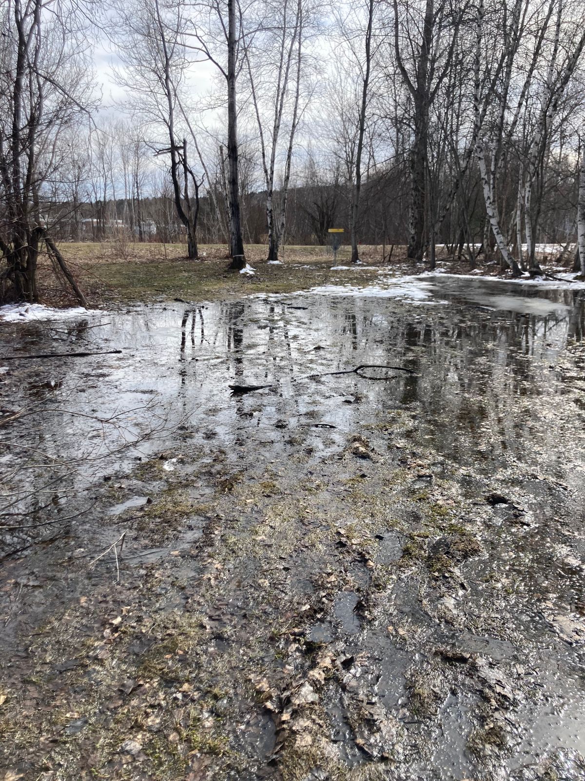 Williston Williston, VT UDisc Disc Golf Course Directory UDisc