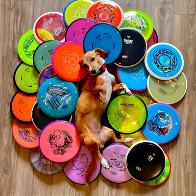 Ryan’s Disc Golf Stop