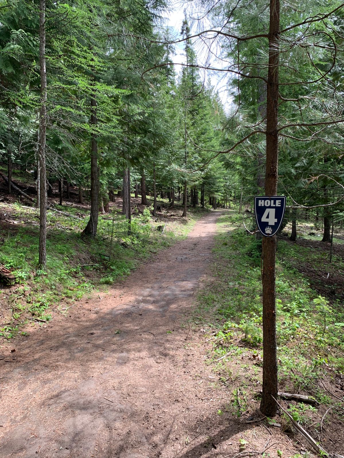 Bonners Ferry High School Bonners Ferry, ID UDisc Disc Golf Course