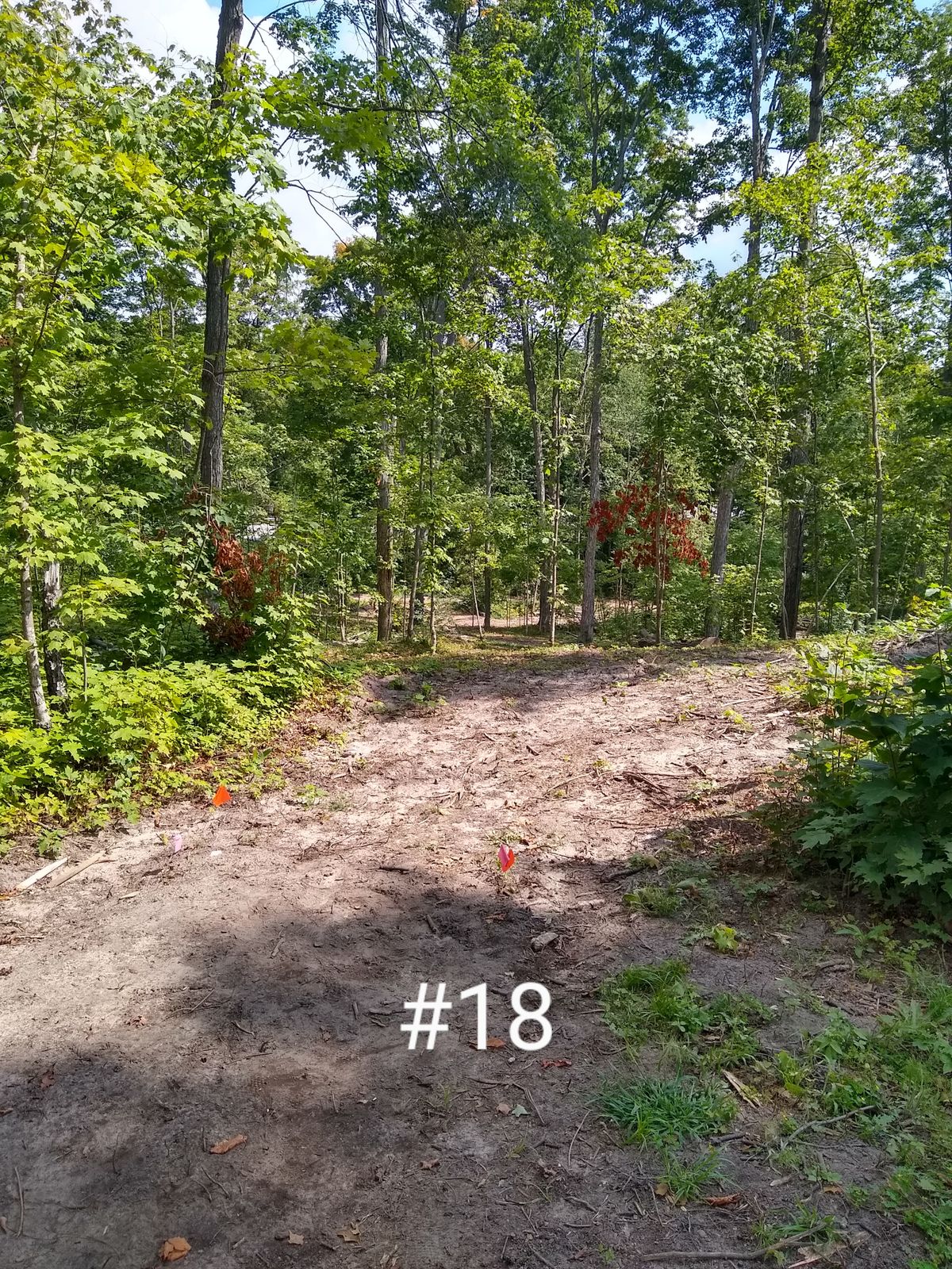 Rambadt Park DGC Reed City, MI UDisc Disc Golf Course Directory UDisc