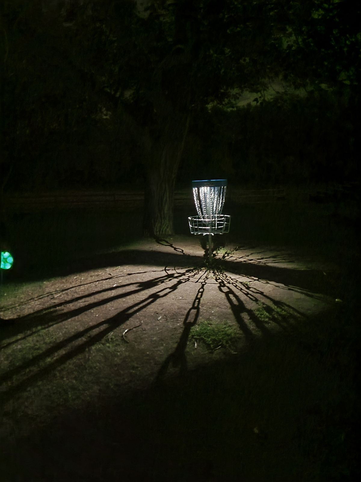 Westsyde Centennial Kamloops, BC, Canada UDisc Disc Golf Course