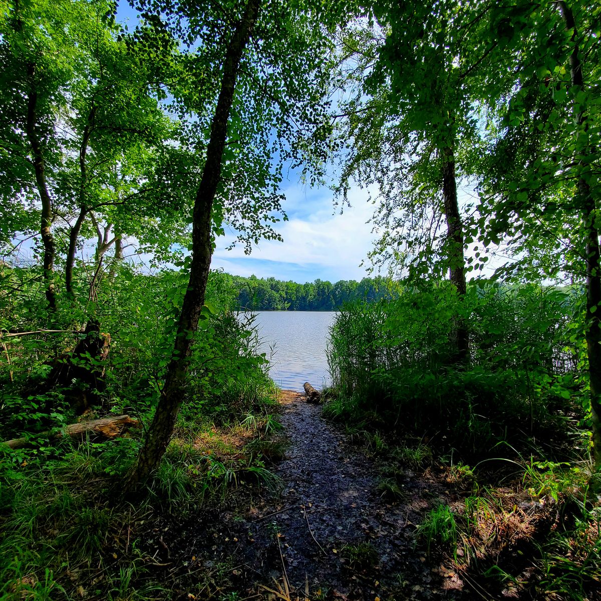 Lums Pond State Park Bear, DE UDisc Disc Golf Course Directory