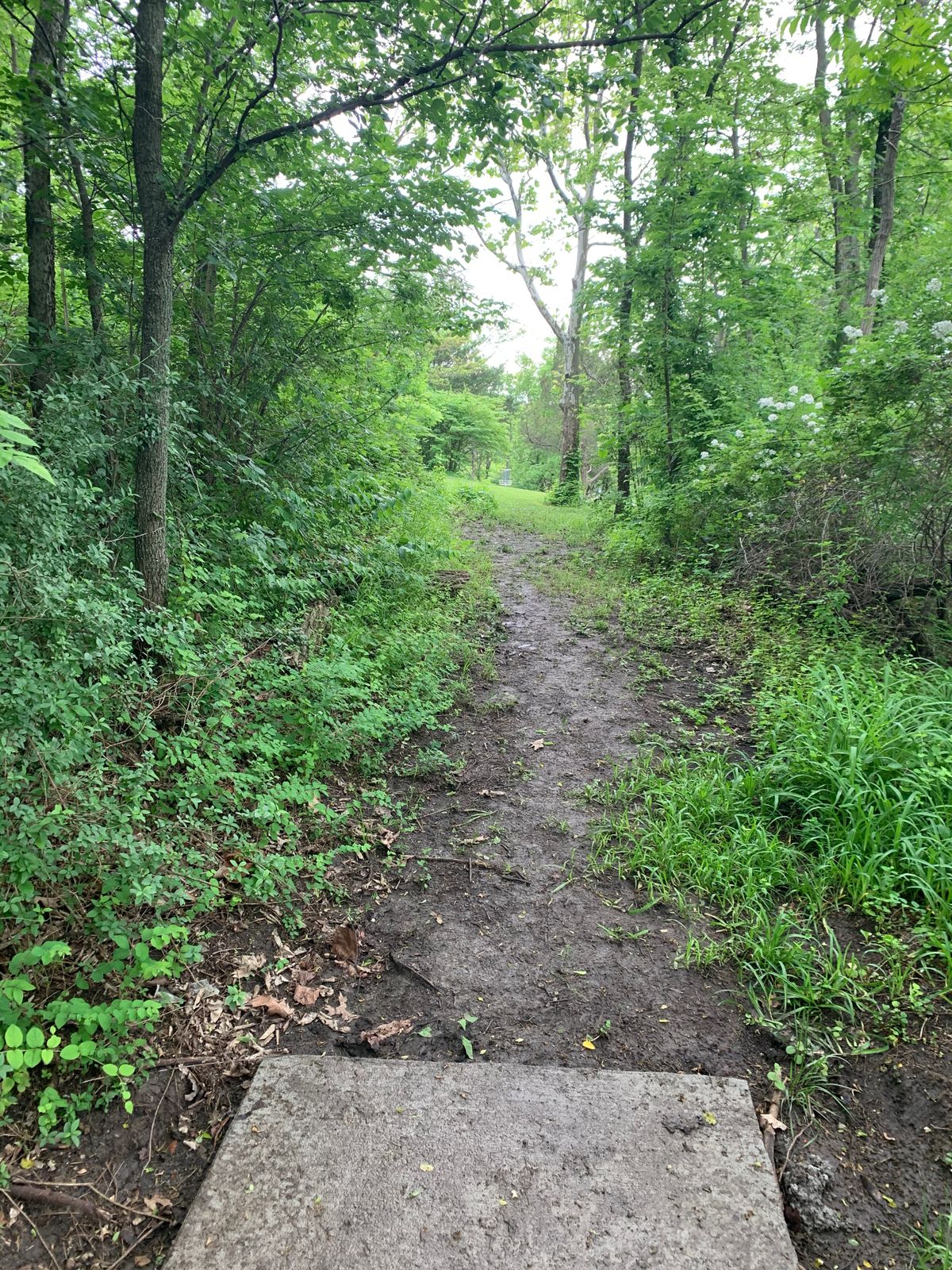 Hills Emporia, KS UDisc Disc Golf Course Directory